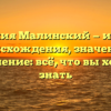 Фамилия Малинский — история происхождения, значение и склонение: всё, что вы хотели знать