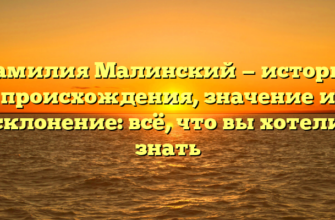 Фамилия Малинский — история происхождения, значение и склонение: всё, что вы хотели знать