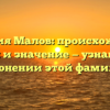 Фамилия Малов: происхождение, история и значение — узнайте все о склонении этой фамилии