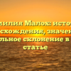 Фамилия Малох: история происхождения, значения и правильное склонение в одной статье