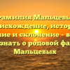 Фамилия Мальцевы: происхождение, история, значение и склонение – все, что нужно знать о родовой фамилии Мальцевых