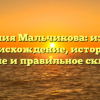 Фамилия Мальчикова: изучаем происхождение, историю, значение и правильное склонение