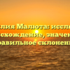 Фамилия Малюта: исследуем происхождение, значение и правильное склонение