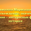 Фамилия Мармышев: происхождение, значение и склонение — интересные факты и история