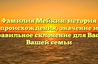 Фамилия Мейкин: история происхождения, значение и правильное склонение для Вас и Вашей семьи