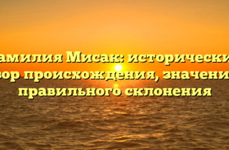 Фамилия Мисак: исторический обзор происхождения, значения и правильного склонения