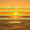 Фамилия Молофеев: история происхождения, значения и правильное склонение для использования в повседневной жизни