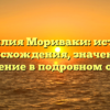 Фамилия Мориваки: история происхождения, значение и склонение в подробном обзоре.