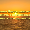 Фамилия Награльян: все, что нужно знать о происхождении и значении этого редкого имени