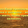 Фамилия Наку: происхождение, история и значение — все, что нужно знать, чтобы правильно склонять