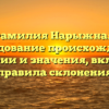 Фамилия Нарыжная: исследование происхождения, истории и значения, включая правила склонения