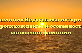 Фамилия Недосекова: история, происхождение и особенности склонения фамилии