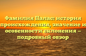 Фамилия Палас: история происхождения, значение и особенности склонения — подробный обзор