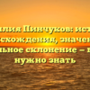 Фамилия Пинчуков: история происхождения, значение и правильное склонение — все, что нужно знать