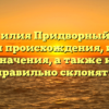 Фамилия Придворный: все аспекты происхождения, истории и значения, а также как правильно склонять