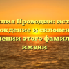 Фамилия Проводин: история, происхождение и склонение — всё о значении этого фамильного имени