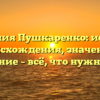 Фамилия Пушкаренко: история происхождения, значение и склонение – всё, что нужно знать