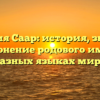 Фамилия Саар: история, значение и склонение родового имени в разных языках мира