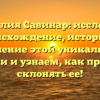 Фамилия Савинар: исследуем происхождение, историю и значение этой уникальной фамилии и узнаем, как правильно склонять ее!