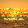 Фамилия Сайдалиев: история, происхождение и значение – полный гайд с правильным склонением.