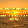 Фамилия Сапалев: происхождение и история, значения и склонение фамилии – все, что вы хотели знать!