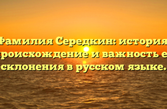 Фамилия Середкин: история, происхождение и важность ее склонения в русском языке.