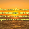 Фамилия Сильвис: происхождение, история и значимость этого имени, а также правила склонения