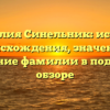 Фамилия Синельник: история происхождения, значение и склонение фамилии в подробном обзоре