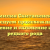 Фамилия Скиталинская: исследуем происхождение, значение и склонение этого редкого рода