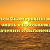 Фамилия Скоморохин: все, что нужно знать о происхождении, значении и склонении