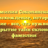 Фамилия Соколянский: происхождение, история и значение – все, что нужно знать! Раскрытие тайн склонения фамилии