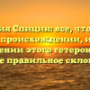 Фамилия Спицин: все, что нужно знать о происхождении, истории и значении этого гетеронима, а также правильное склонение