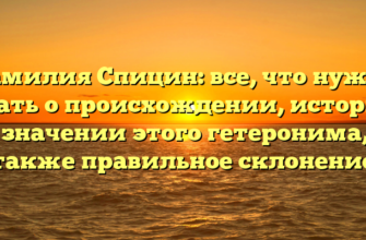 Фамилия Спицин: все, что нужно знать о происхождении, истории и значении этого гетеронима, а также правильное склонение