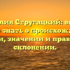 Фамилия Стругацкий: всё, что нужно знать о происхождении, истории, значении и правильном склонении.