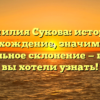 Фамилия Сукова: история, происхождение, значимость и правильное склонение — все, что вы хотели узнать!