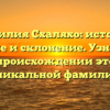 Фамилия Схаляхо: история, значение и склонение. Узнайте все о происхождении этой уникальной фамилии