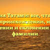 Фамилия Татами: все, что нужно знать о происхождении, истории, значении и склонении этой фамилии