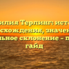 Фамилия Терлинг: история происхождения, значения и правильное склонение – полный гайд