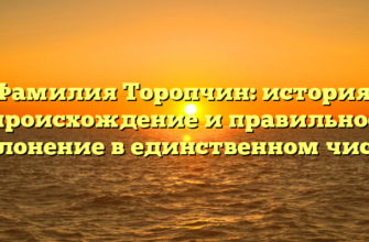 Фамилия Торопчин: история, происхождение и правильное склонение в единственном числе