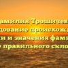 Фамилия Трошичева: исследование происхождения, истории и значения фамилии, а также правильного склонения