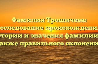 Фамилия Трошичева: исследование происхождения, истории и значения фамилии, а также правильного склонения