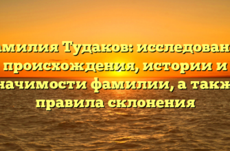 Фамилия Тудаков: исследование происхождения, истории и значимости фамилии, а также правила склонения