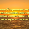 Фамилия Упорников: история происхождения, значение и правильное склонение — все, что вам нужно знать