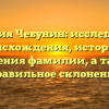 Фамилия Чебунин: исследование происхождения, истории и значения фамилии, а также правильное склонение