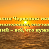 Фамилия Черненок: история возникновения, значения и склонений — всё, что нужно знать