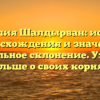 Фамилия Шалдырван: история происхождения и значение, правильное склонение. Узнайте больше о своих корнях!