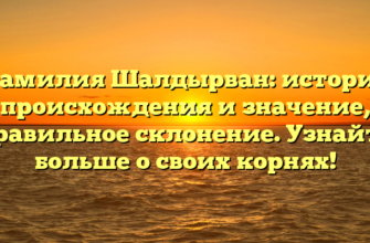 Фамилия Шалдырван: история происхождения и значение, правильное склонение. Узнайте больше о своих корнях!