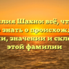 Фамилия Шахно: всё, что вам нужно знать о происхождении, истории, значении и склонении этой фамилии