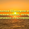 Фамилия Шашерин: всё о происхождении, истории, значении и склонении