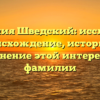 Фамилия Шведский: исследуем происхождение, историю и склонение этой интересной фамилии